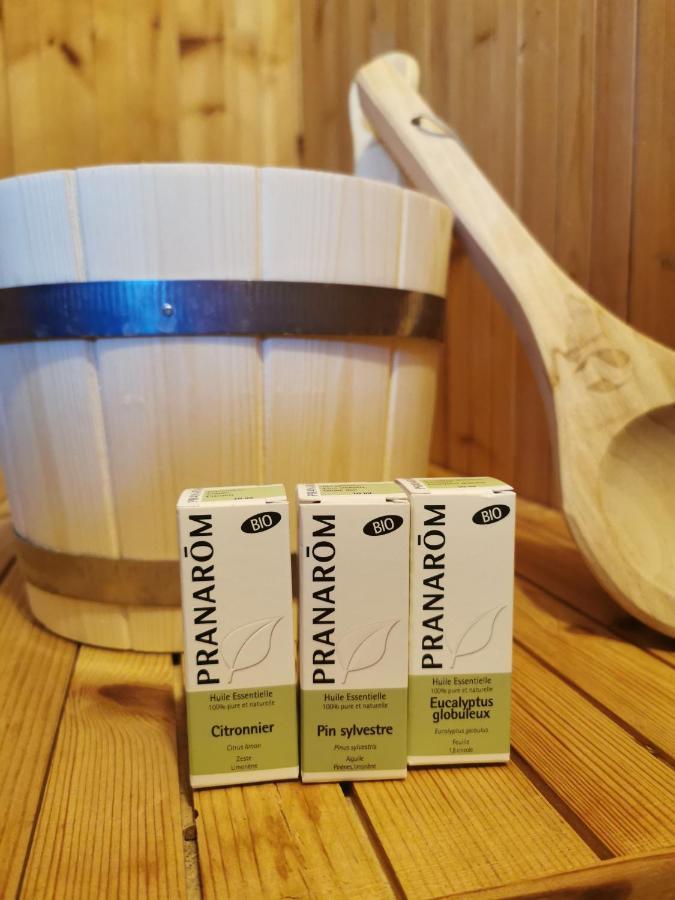 Apartmán Ecrin Balneo Sauna A Thollon Exteriér fotografie